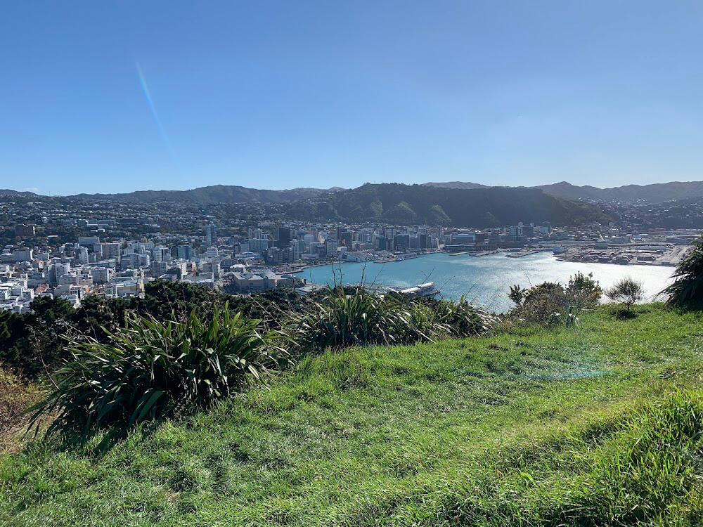 City vs Nature | 26 April 2021